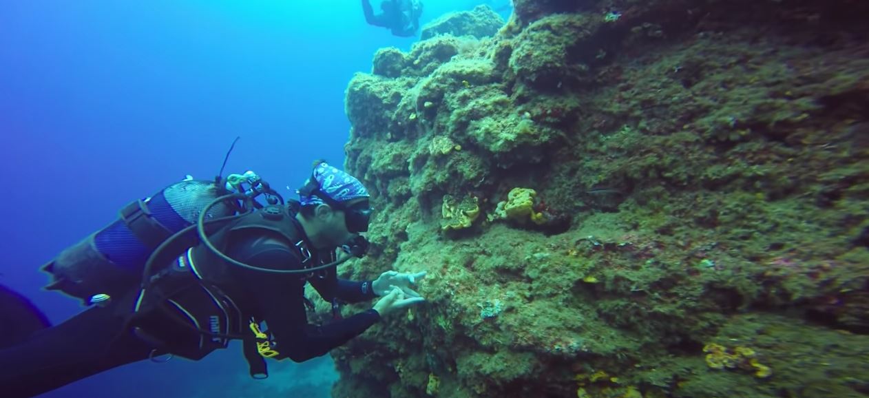 The Santorini Project : Καταδύσεις στη βαθιά υγρή θάλασσα. Aegean Divers-Kostas Sarmas!