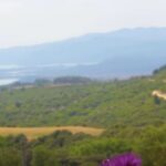 The​​​​​​​ Halkidiki Project : Εκδρομή στη Σιθωνία. με τους δημοσιογράφους Κρις Πέτρου-Β. Σάπκα !
