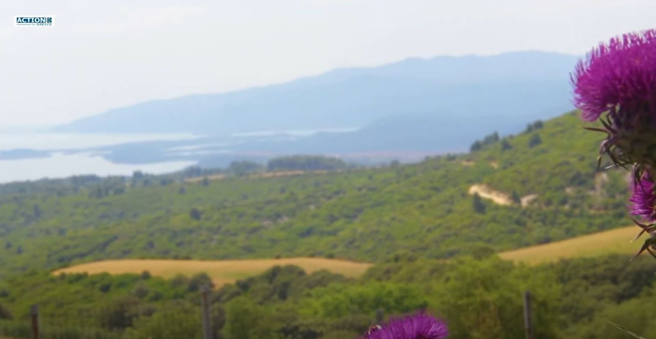 The​​​​​​​ Halkidiki Project : Εκδρομή στη Σιθωνία. με τους δημοσιογράφους Κρις Πέτρου-Β. Σάπκα !