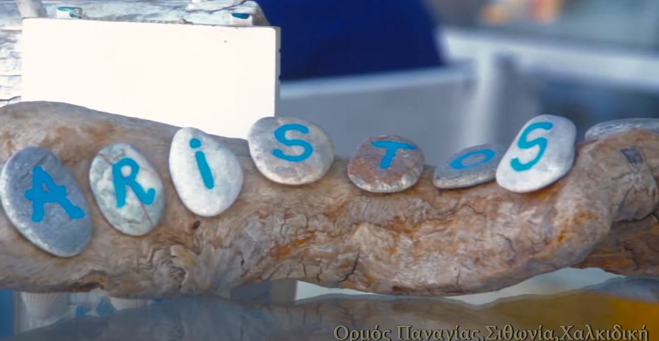 The Halkidiki Project: Eating Places. Aristos Fish Tavern !