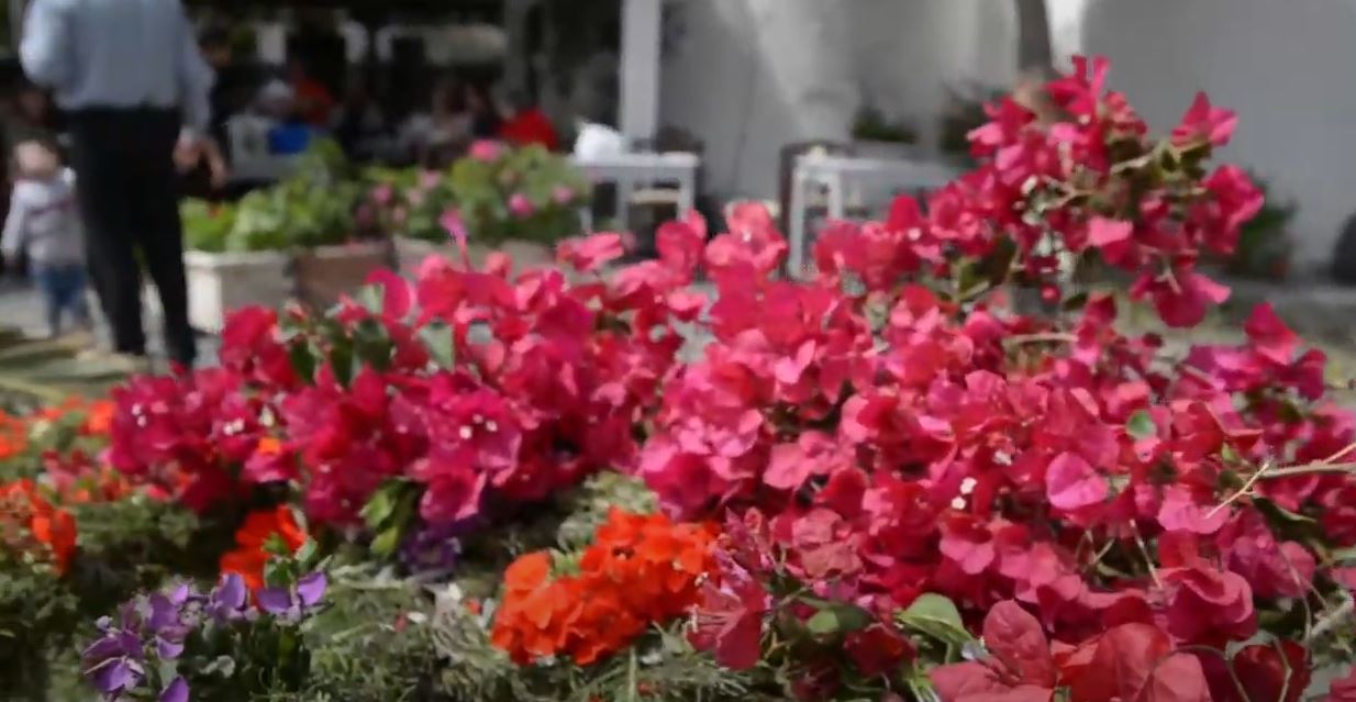 The Santorini Project: Religious custom of Lazarus. Holy Saturday !