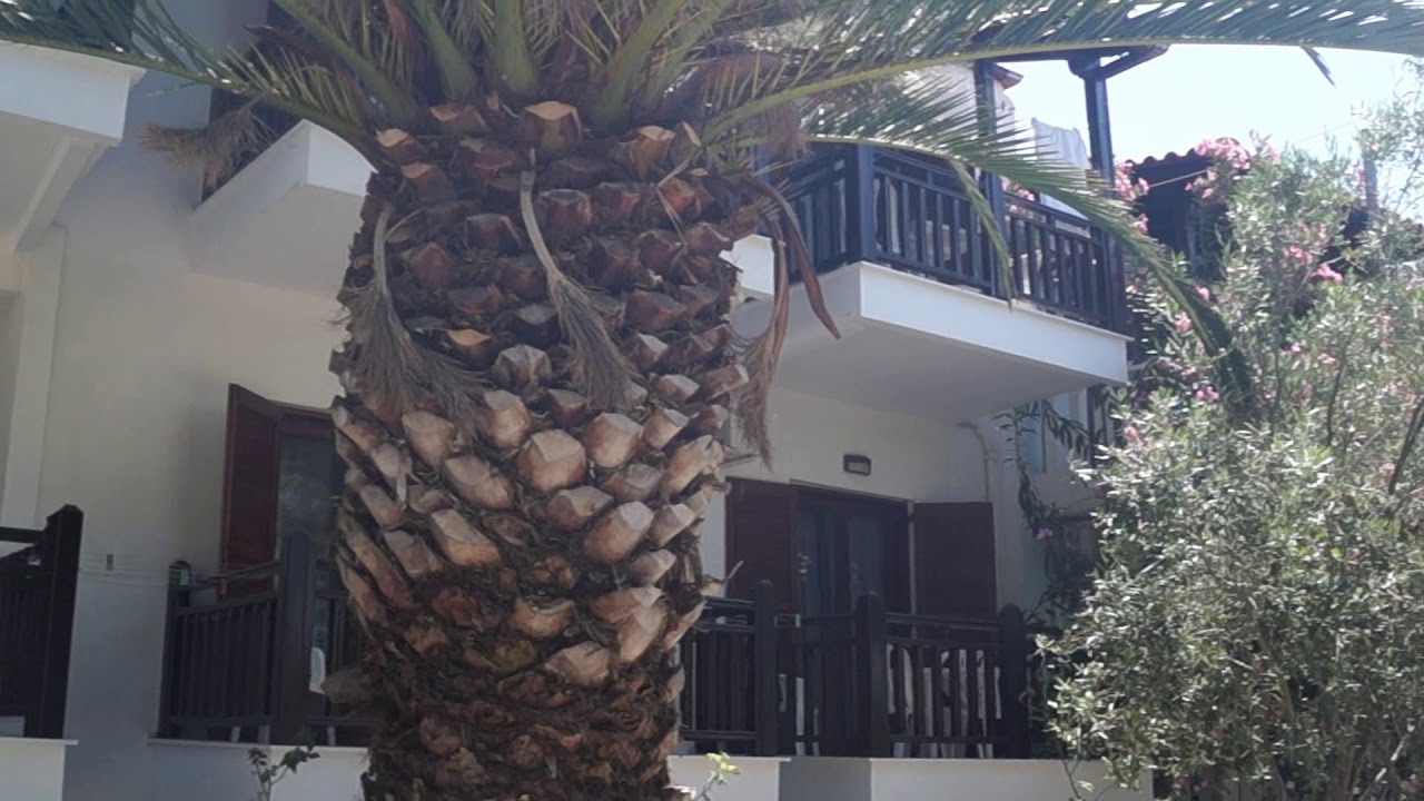 The Halkidiki Project: Konaki #Ammouliani #Aristoteles!