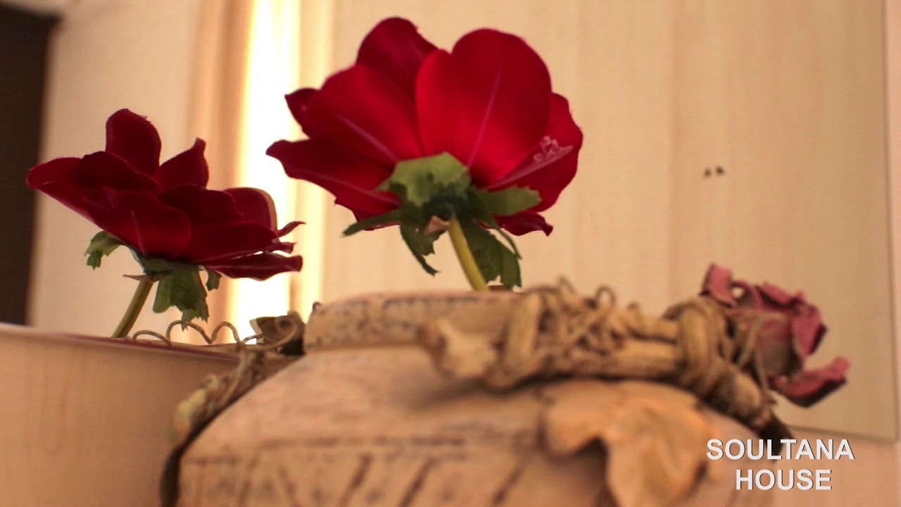 The Halkidiki Project: Neos Marmaras #Soultana house #Hospitality!