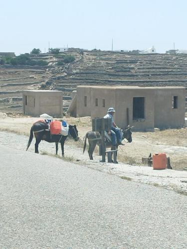 ΟΔΟΙΠΟΡΙΚΟ ΓΕΥΣΗΣ ΚΑΙ ΤΟΥΡΙΣΜΟΥ